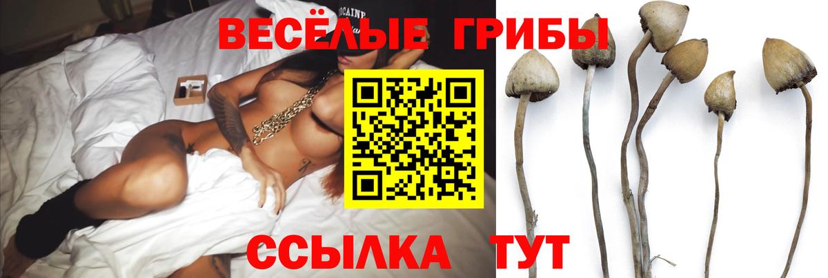 Псилоцибиновые грибы Magic Shrooms Шадринск