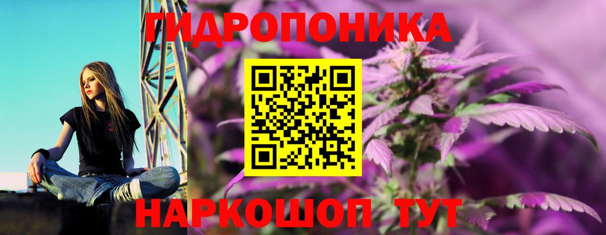 Шишки марихуана планчик Шадринск